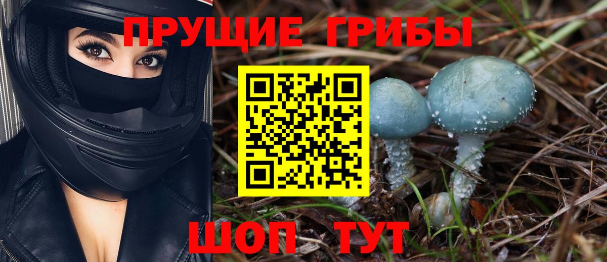 где купить наркоту  Галлюциногенные грибы ЛСД  Вход с VPN  Ялуторовск 